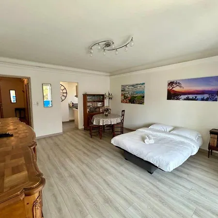 Apartamento C029-appartement Spacieux A Deux Pas De La Croisette Cannes